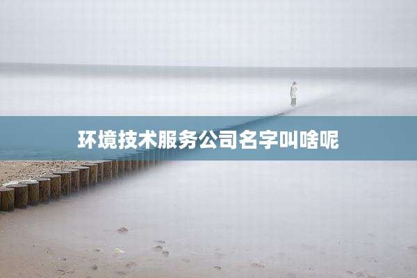 环境技术服务公司名字叫啥呢