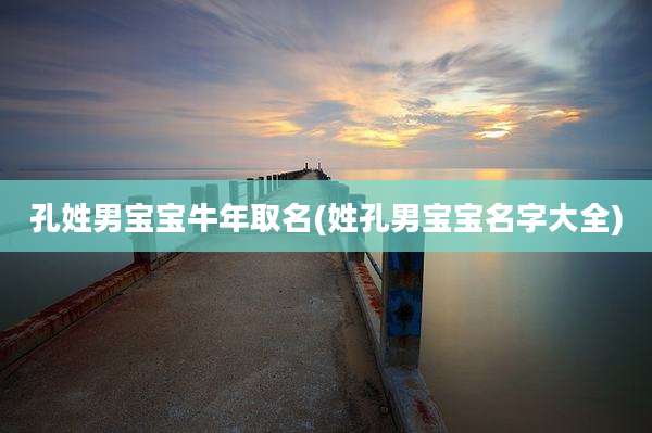 孔姓男宝宝牛年取名(姓孔男宝宝名字大全)