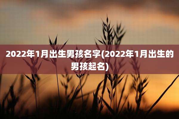 2022年1月出生男孩名字(2022年1月出生的男孩起名)