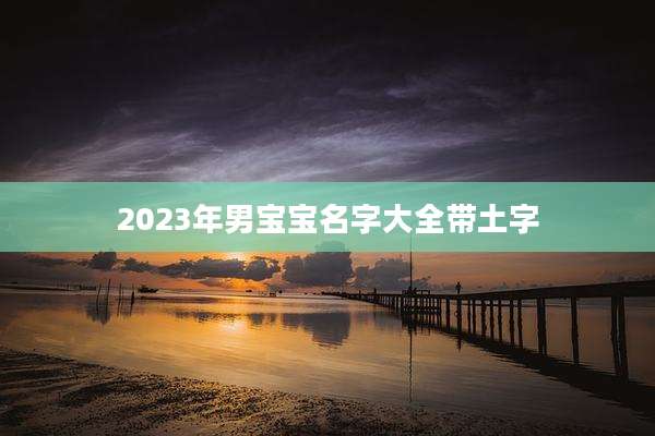 2023年男宝宝名字大全带土字