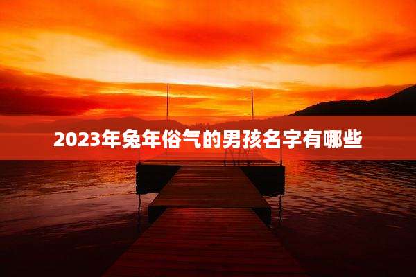 2023年兔年俗气的男孩名字有哪些