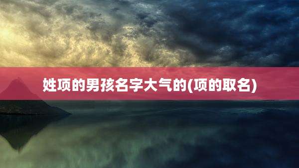 姓项的男孩名字大气的(项的取名)