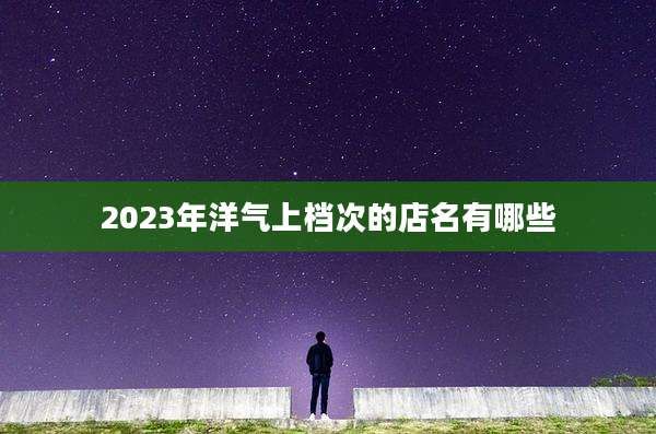 2023年洋气上档次的店名有哪些