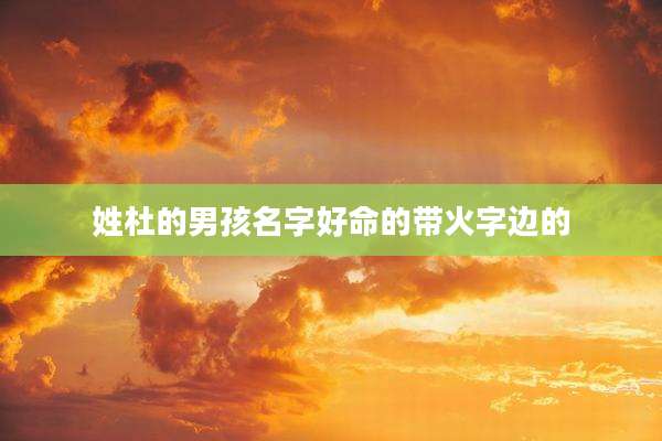 姓杜的男孩名字好命的带火字边的