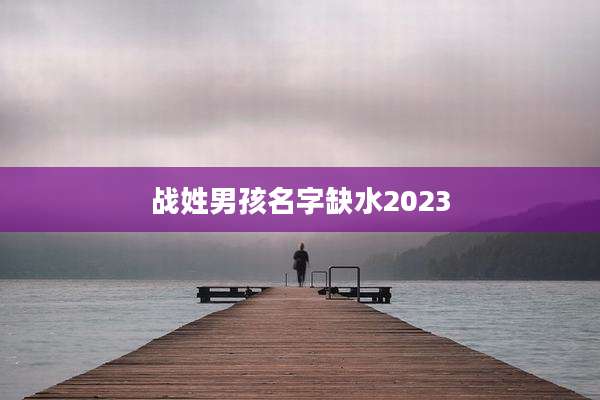战姓男孩名字缺水2023
