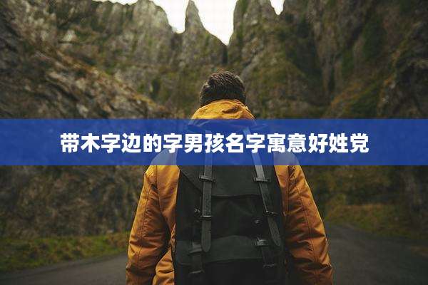 带木字边的字男孩名字寓意好姓党
