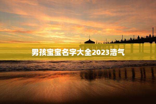 男孩宝宝名字大全2023浩气