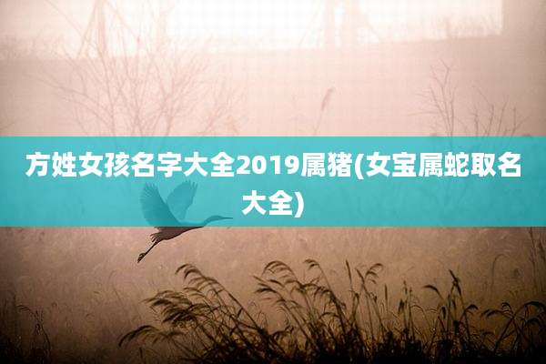 方姓女孩名字大全2019属猪(女宝属蛇取名大全)