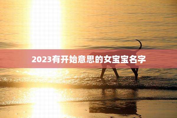 2023有开始意思的女宝宝名字