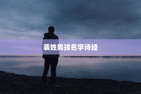 裴姓男孩名字诗经