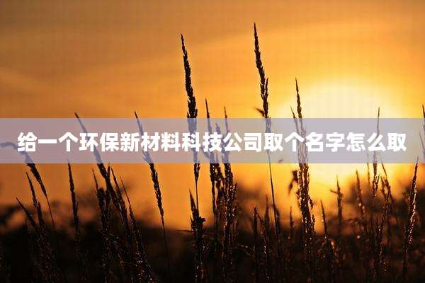给一个环保新材料科技公司取个名字怎么取