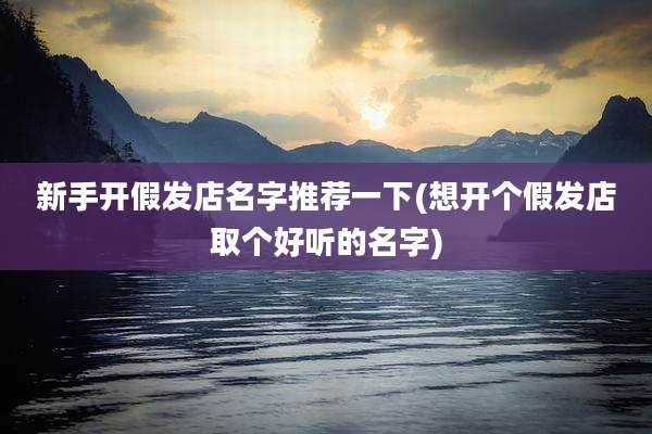 新手开假发店名字推荐一下(想开个假发店取个好听的名字)