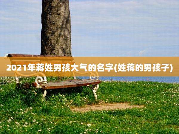 2021年蒋姓男孩大气的名字(姓蒋的男孩子)