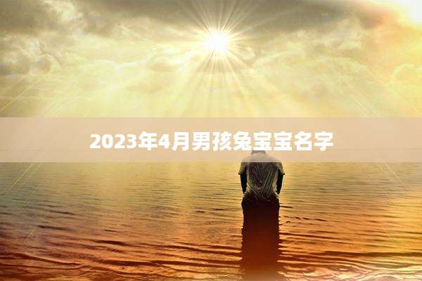 2023年4月男孩兔宝宝名字