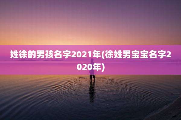 姓徐的男孩名字2021年(徐姓男宝宝名字2020年)
