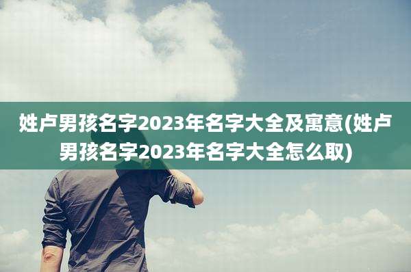 姓卢男孩名字2023年名字大全及寓意(姓卢男孩名字2023年名字大全怎么取)
