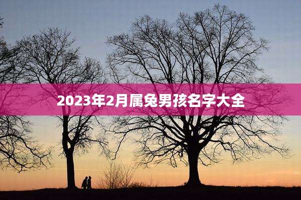 2023年2月属兔男孩名字大全