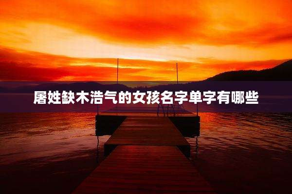 屠姓缺木浩气的女孩名字单字有哪些