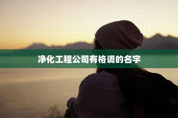 净化工程公司有格调的名字