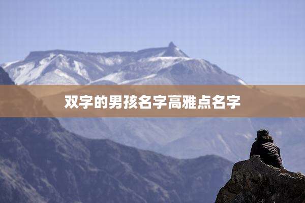双字的男孩名字高雅点名字