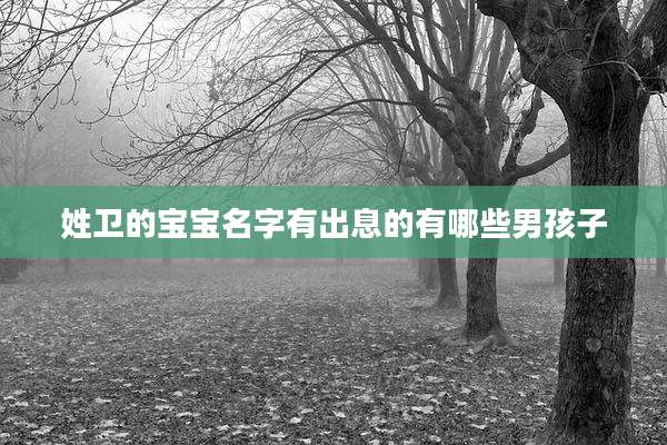 姓卫的宝宝名字有出息的有哪些男孩子