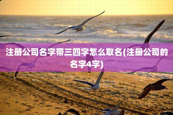 注册公司名字带三四字怎么取名(注册公司的名字4字)