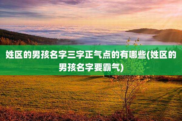 姓区的男孩名字三字正气点的有哪些(姓区的男孩名字要霸气)