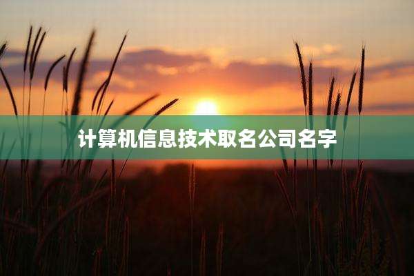 计算机信息技术取名公司名字