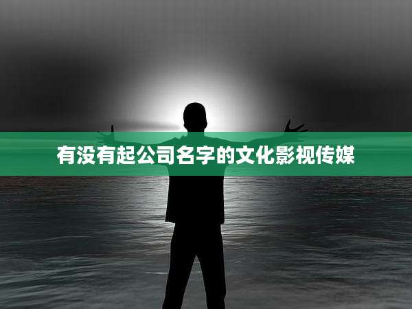 有没有起公司名字的文化影视传媒