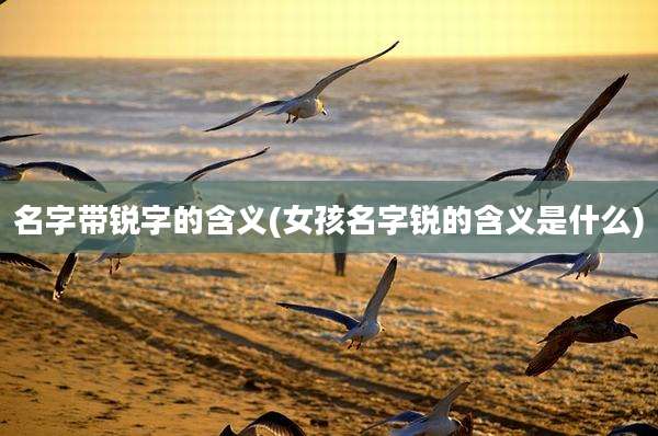 名字带锐字的含义(女孩名字锐的含义是什么)