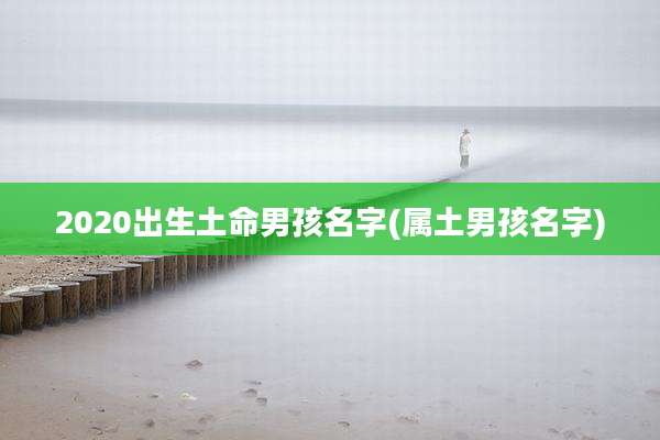 2020出生土命男孩名字(属土男孩名字)
