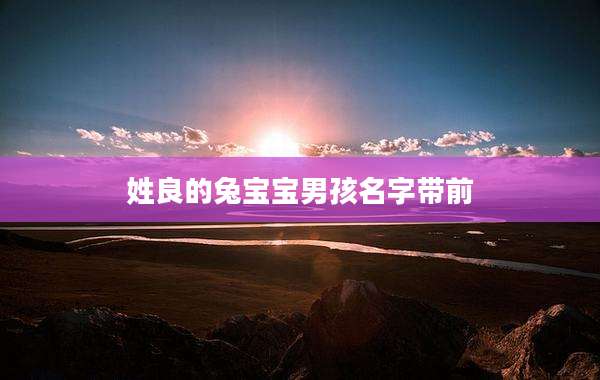姓良的兔宝宝男孩名字带前