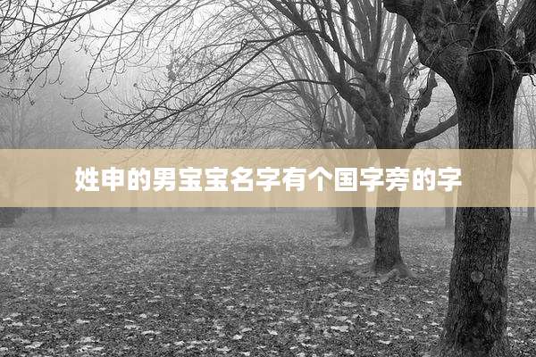 姓申的男宝宝名字有个国字旁的字