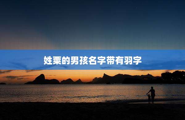 姓粟的男孩名字带有羽字