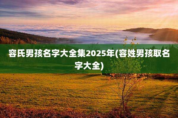 容氏男孩名字大全集2025年(容姓男孩取名字大全)