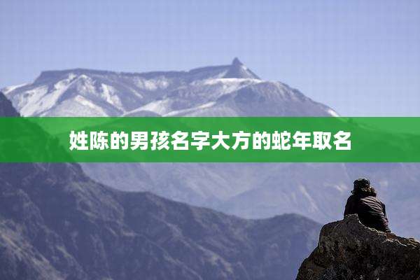 姓陈的男孩名字大方的蛇年取名