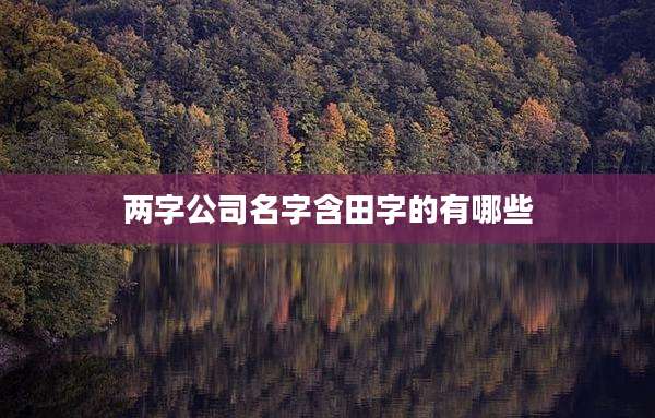 两字公司名字含田字的有哪些