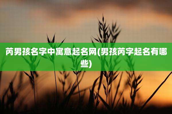 芮男孩名字中寓意起名网(男孩芮字起名有哪些)