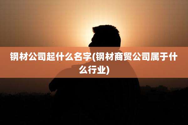 钢材公司起什么名字(钢材商贸公司属于什么行业)