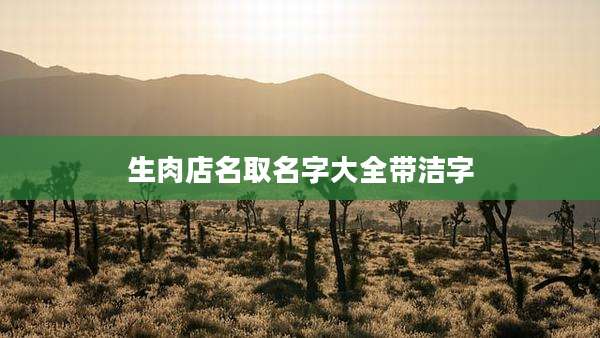 生肉店名取名字大全带洁字