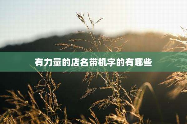 有力量的店名带机字的有哪些