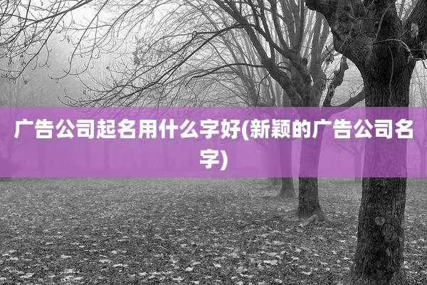 广告公司起名用什么字好(新颖的广告公司名字)