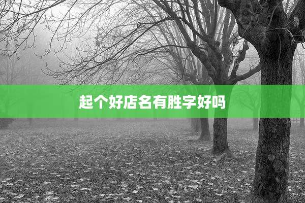 起个好店名有胜字好吗