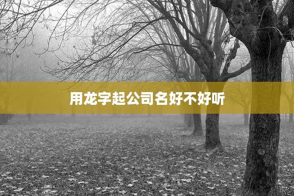 用龙字起公司名好不好听