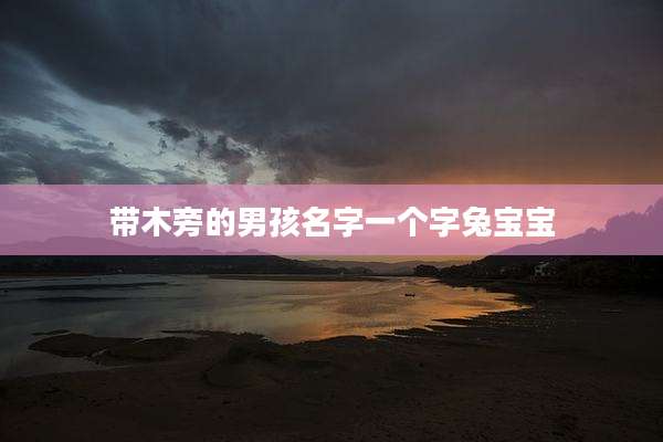 带木旁的男孩名字一个字兔宝宝