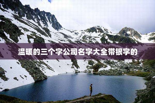 温暖的三个字公司名字大全带银字的