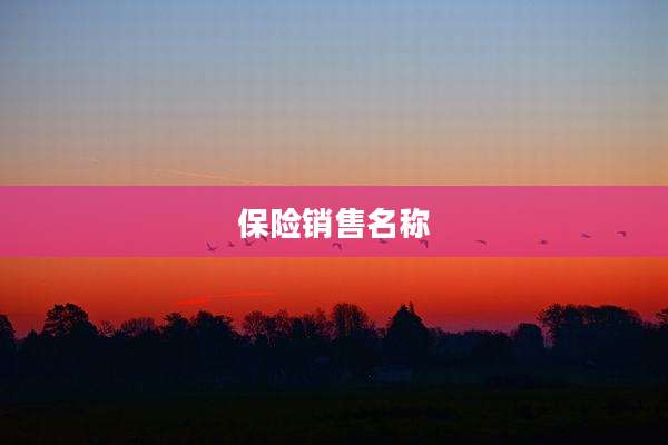 保险销售名称
