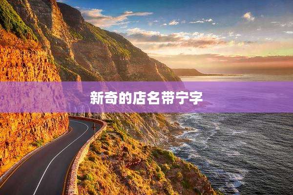 新奇的店名带宁字