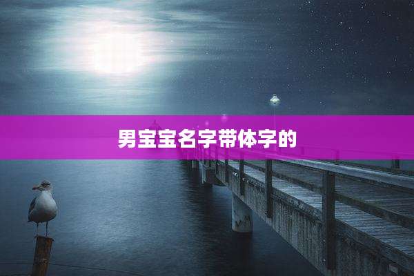 男宝宝名字带体字的