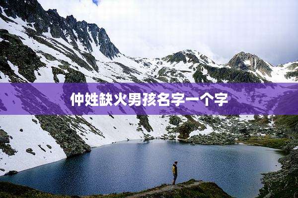 仲姓缺火男孩名字一个字